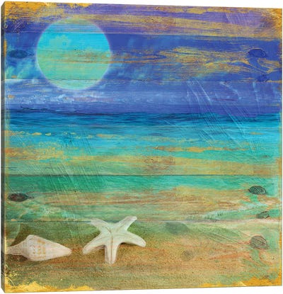Turquoise Moon Night Canvas Art Print - Sea Shell Art