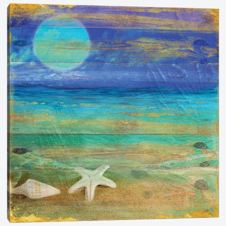 Turquoise Moon Night Canvas Print #CBY990} by Color Bakery Canvas Wall Art