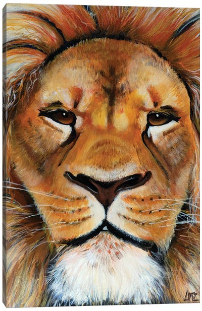 Lion Portrait Canvas Art Print - Charlotte Bezant