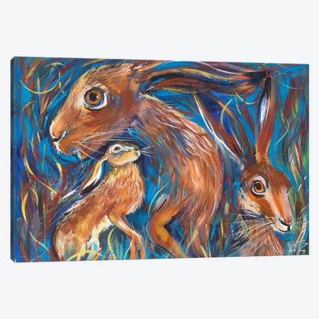 Hares Canvas Print #CBZ11} by Charlotte Bezant Art Print