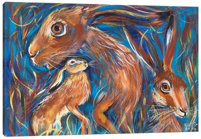 Hares Canvas Art Print - Charlotte Bezant