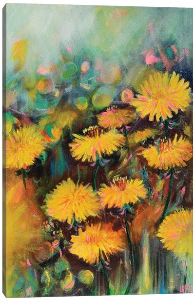 Morning Dandelions Canvas Art Print - Dandelion Art