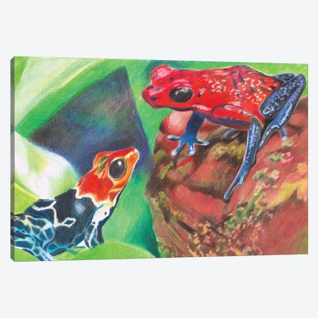 Poison Dart Frogs Canvas Print #CBZ33} by Charlotte Bezant Canvas Art Print