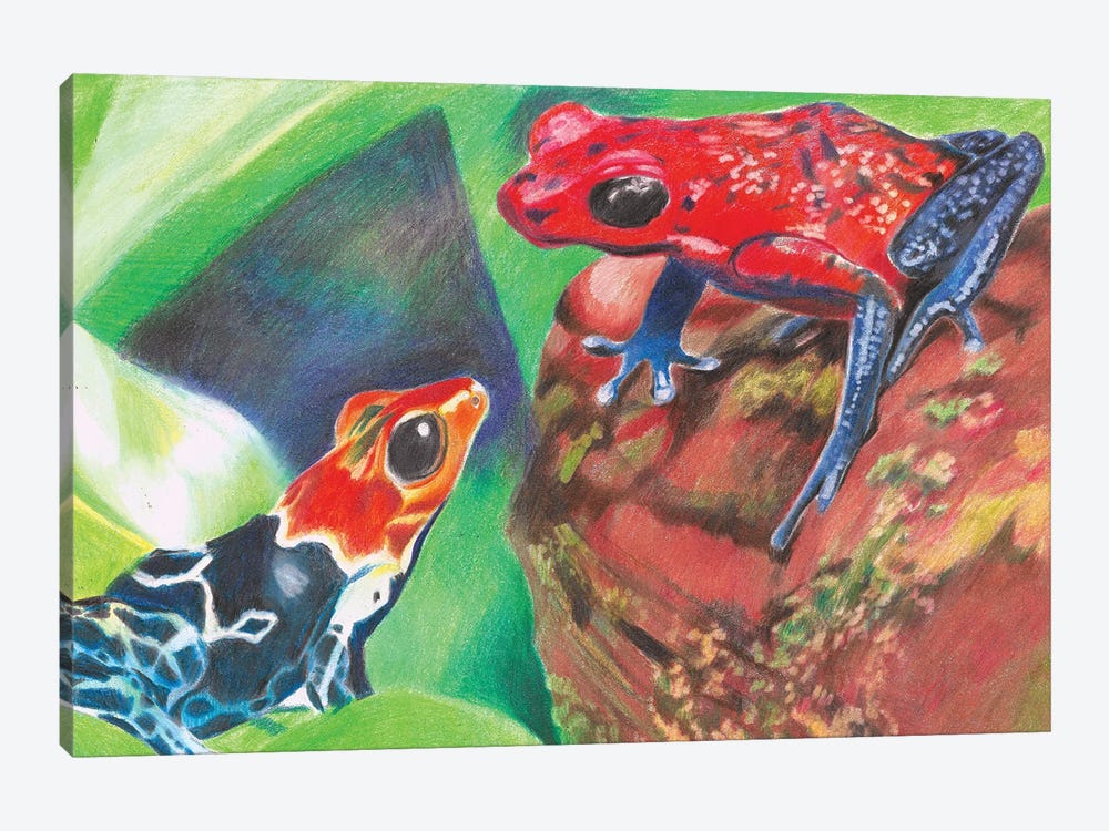 Poison Dart Frogs by Charlotte Bezant 1-piece Canvas Wall Art