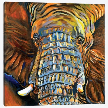 Elephant Portrait Canvas Print #CBZ34} by Charlotte Bezant Canvas Artwork
