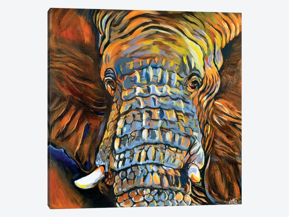 Elephant Portrait by Charlotte Bezant 1-piece Canvas Art Print