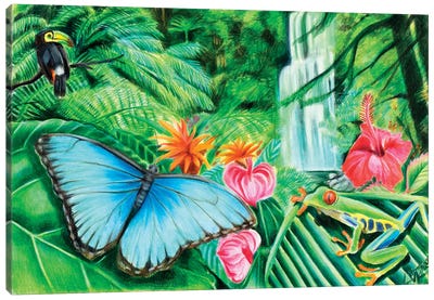 Rainforest Canvas Art Print - Toucan Art