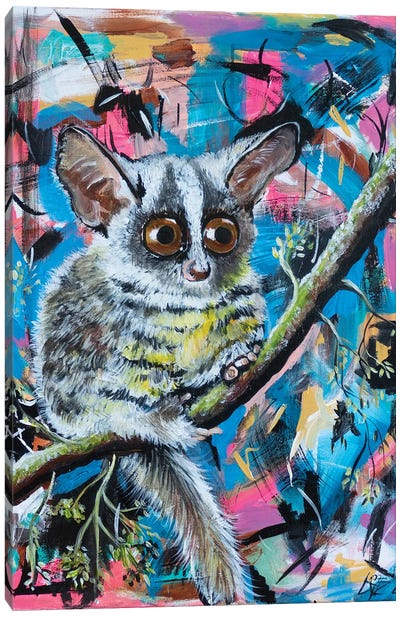 Bushbaby Canvas Art Print - Lemur Art