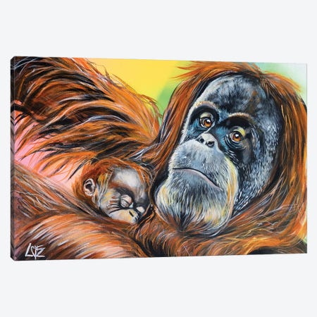 Orangutan Mother And Baby Canvas Print #CBZ51} by Charlotte Bezant Art Print