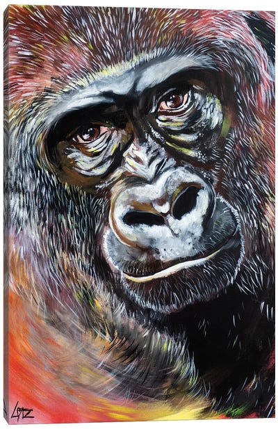 Gorilla Portrait Canvas Art Print - Gorilla Art