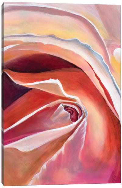 Rose Canvas Art Print - Similar to Georgia O'Keeffe