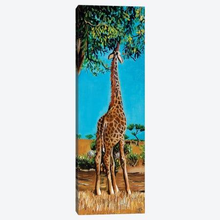 Giraffe Stretching Up To Eat Leaves Canvas Print #CBZ5} by Charlotte Bezant Canvas Art Print
