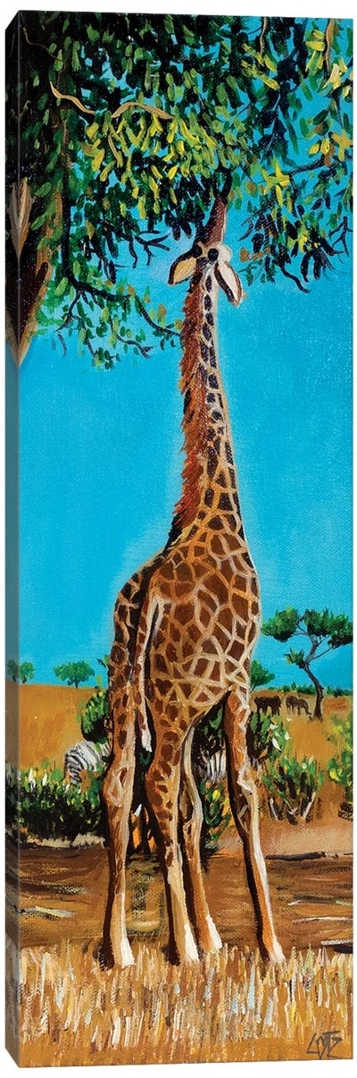 Giraffe Stretching Up To Eat Leaves Canvas Art Print - Charlotte Bezant