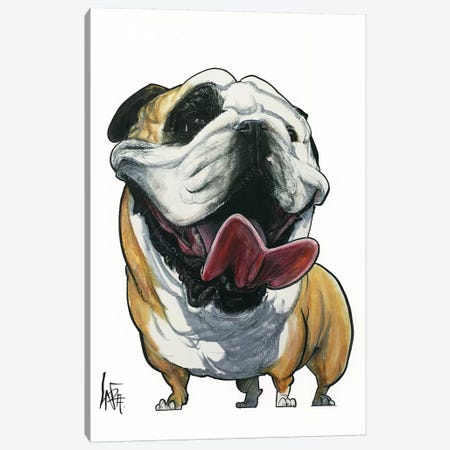 Smiling Bulldog Canvas Print #CCA28} by Canine Caricatures Canvas Artwork
