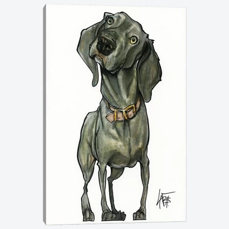 Weimaraner So Curious Canvas Print #CCA32} by Canine Caricatures Canvas Art Print