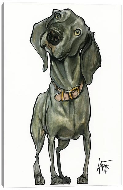 Weimaraner So Curious Canvas Art Print - Canine Caricatures