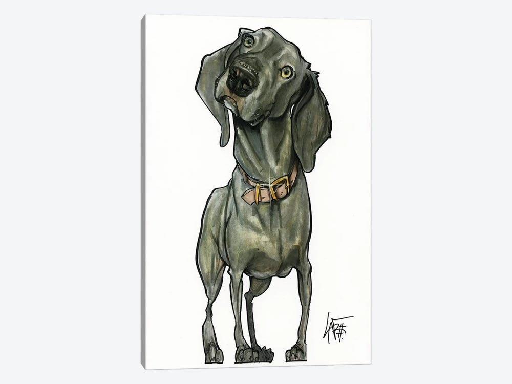 Weimaraner So Curious by Canine Caricatures 1-piece Canvas Print
