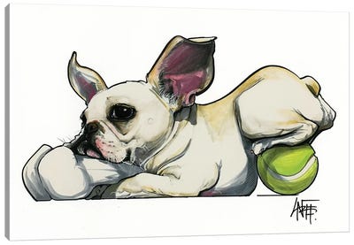 Frenchie Toy Hoarder Canvas Art Print - Canine Caricatures