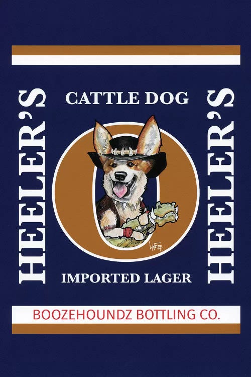 Heelers Cattles Dog Imported Lager