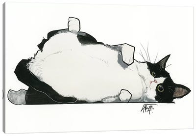 Kitty Wants A Belly Rub Canvas Art Print - Canine Caricatures