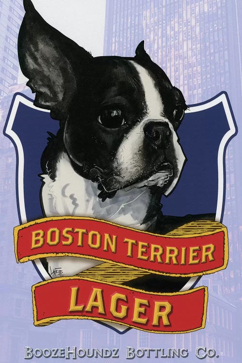 Boston Terrier Lager