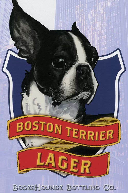 Boston Terrier Lager by Canine Caricatures wall art