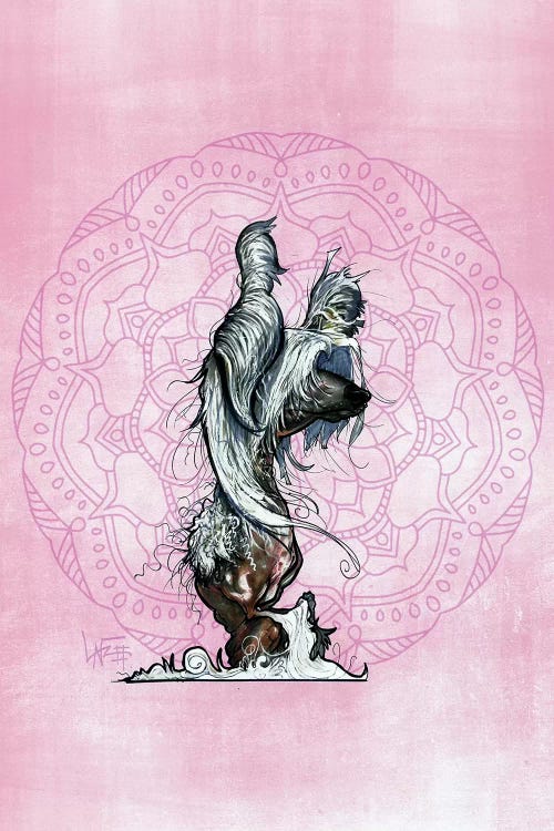 Meditating Chinese Crested by Canine Caricatures wall art
