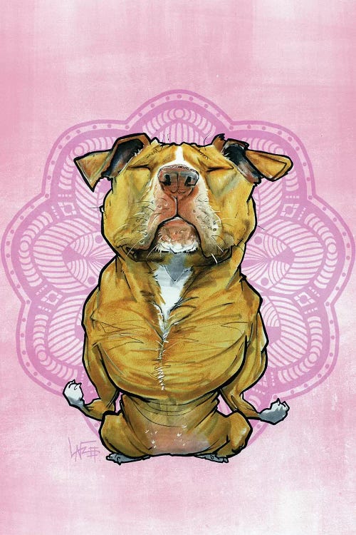 Meditating Pit Bull