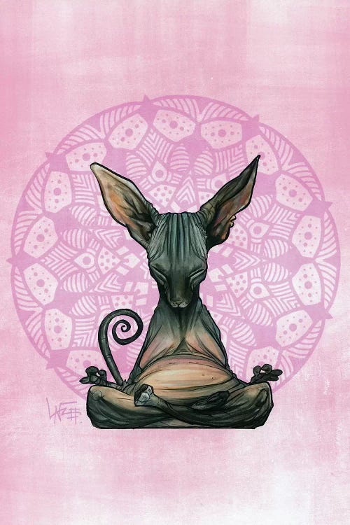 Meditating Sphynx