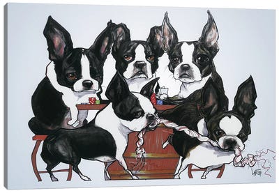 Boston Terriers Playing Poker Canvas Art Print - Canine Caricatures