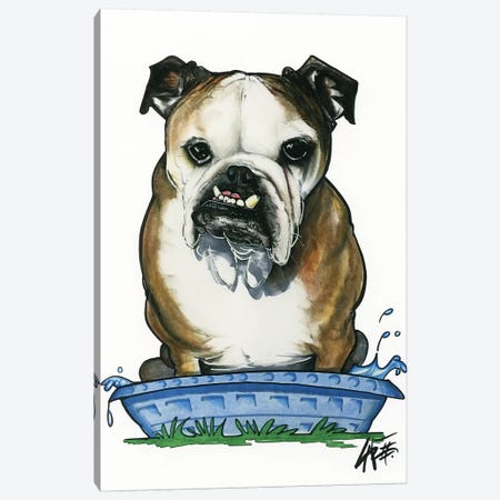 Bulldog in a Kiddie Pool Canvas Print #CCA9} by Canine Caricatures Canvas Print