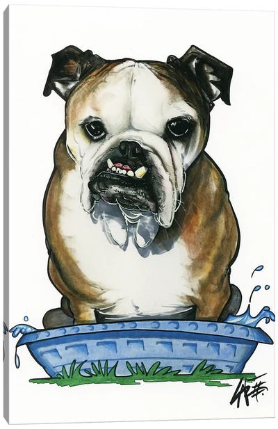 Bulldog in a Kiddie Pool Canvas Art Print - Canine Caricatures