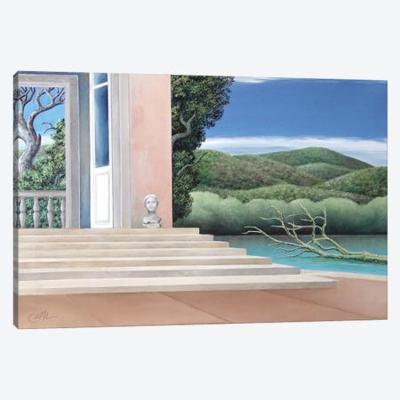 The House, The Pond, And The Bush Canvas Print #CCC25} by Cecco Mariniello Canvas Print