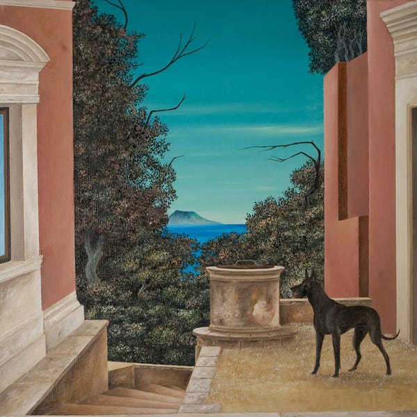 Cecco Mariniello: Black Dog by Cecco Mariniello