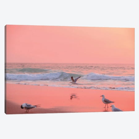 Low Flyer Canvas Print #CCD111} by Charlotte Curd Canvas Wall Art