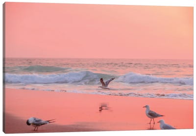 Low Flyer Canvas Art Print - Sunset Shades