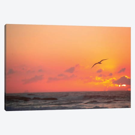 Fiery Skies Canvas Print #CCD19} by Charlotte Curd Canvas Wall Art