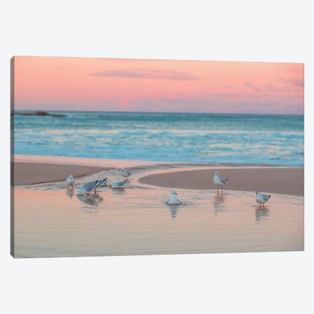 Seagull Swims Canvas Print #CCD43} by Charlotte Curd Canvas Art Print