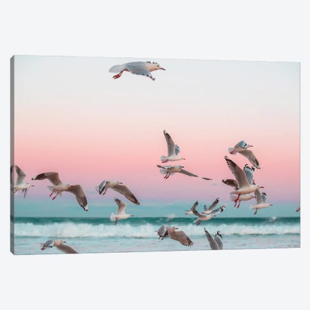 Who Gives A Flying Flock Canvas Print #CCD46} by Charlotte Curd Canvas Art