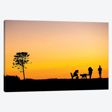 Yellow Hues Canvas Print #CCD50} by Charlotte Curd Canvas Wall Art