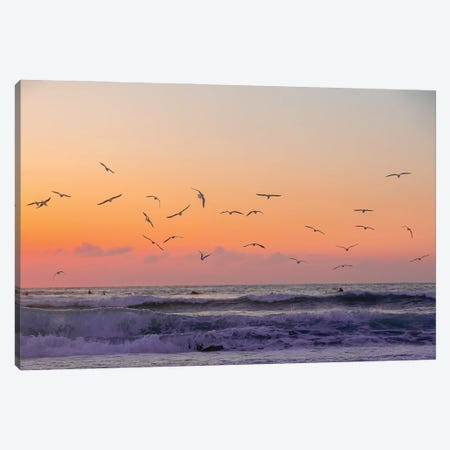 Orange Skies And Birds Fly Canvas Print #CCD65} by Charlotte Curd Canvas Artwork