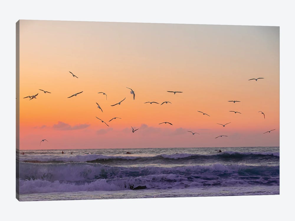 Orange Skies And Birds Fly by Charlotte Curd 1-piece Canvas Print