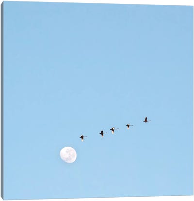Fly To The Moon Canvas Art Print - Charlotte Curd