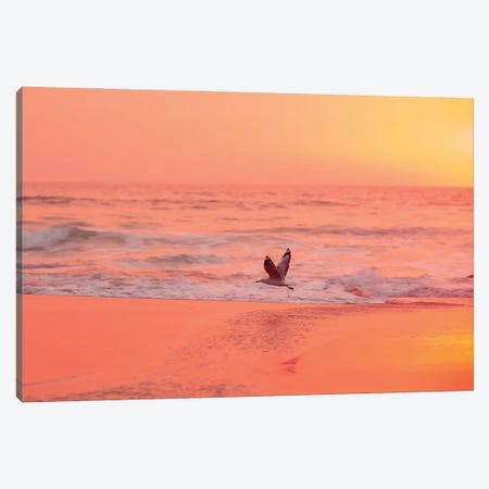 Morning Flow Canvas Print #CCD85} by Charlotte Curd Canvas Artwork