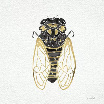 Cicada Gold Black by Cat Coquillette canvas print