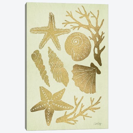 Gold Seashells Canvas Print #CCE114} by Cat Coquillette Canvas Art
