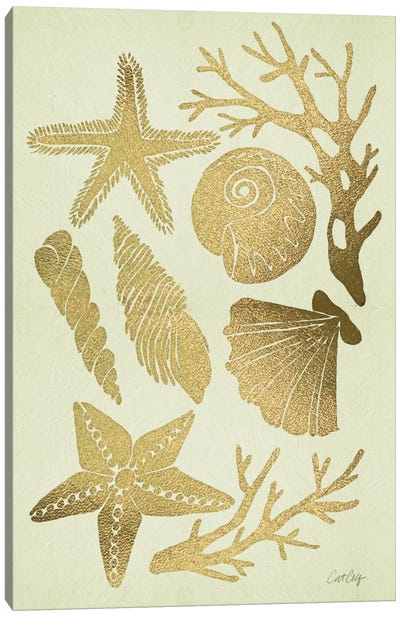 Gold Seashells Canvas Art Print - Nature Close-Up Art