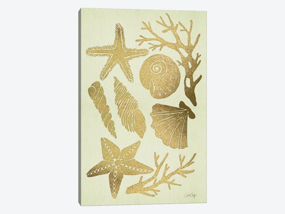 Gold Seashells by Cat Coquillette 1-piece Canvas Art