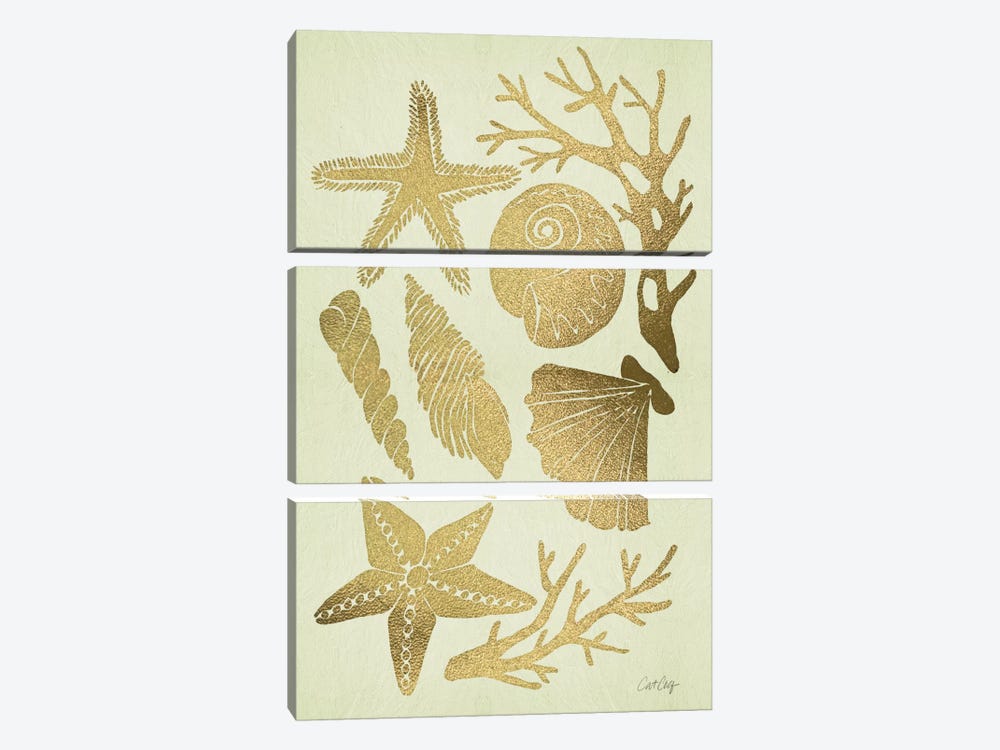 Gold Seashells by Cat Coquillette 3-piece Canvas Wall Art