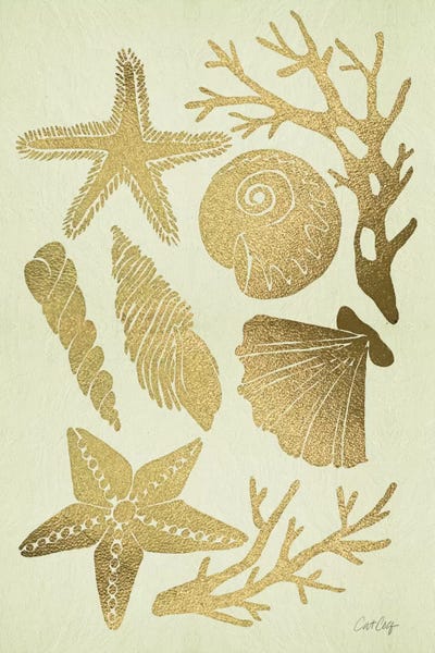 Sea Shells: Gold Seashells by Cat Coquillette